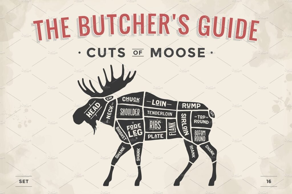 moose butcher's guide