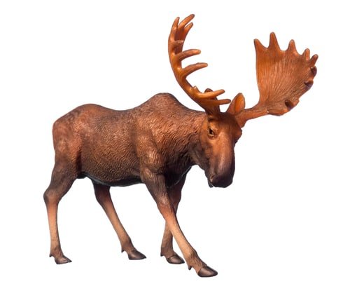 Moose in the Spotlight: Trending Moose Decor Ideas for 2023